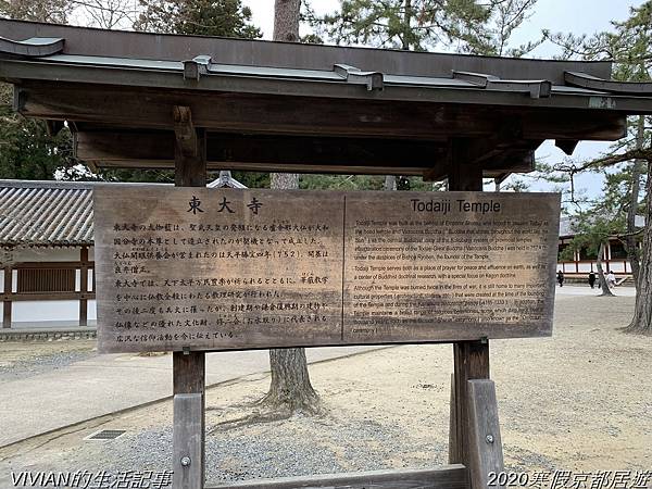 2020寒假京都居遊樂~三訪奈良東大寺