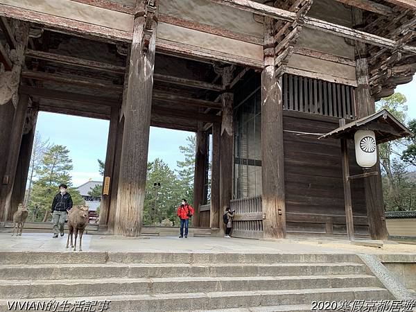 2020寒假京都居遊樂~三訪奈良東大寺