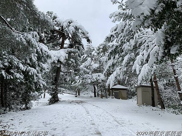 2020寒假京都居遊樂~欣賞天橋立的雪景