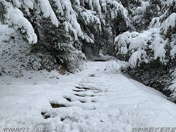 2020寒假京都居遊樂~欣賞天橋立的雪景