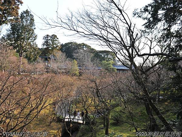 2020寒假京都居遊樂~匆匆一撇的東福寺