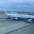 IMG_1063.jpg