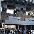 IMG_1087.jpg