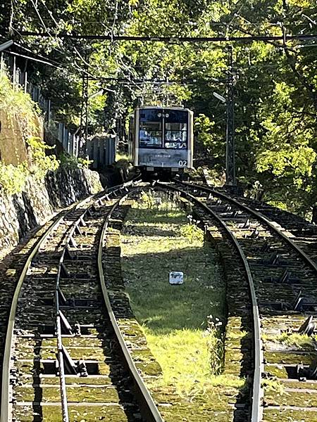 2022秋遊京都賞楓樂~用比叡山電車一日券搭乘比叡山軌道纜車