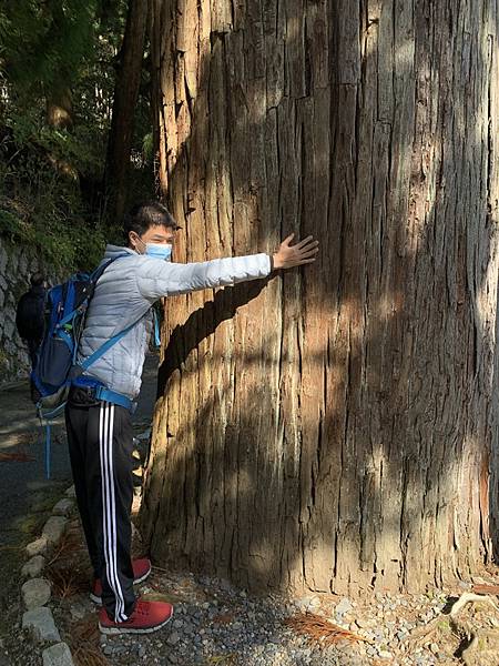 2022秋遊京都賞楓樂~參拜比叡山延曆寺之東塔與西塔只因時間