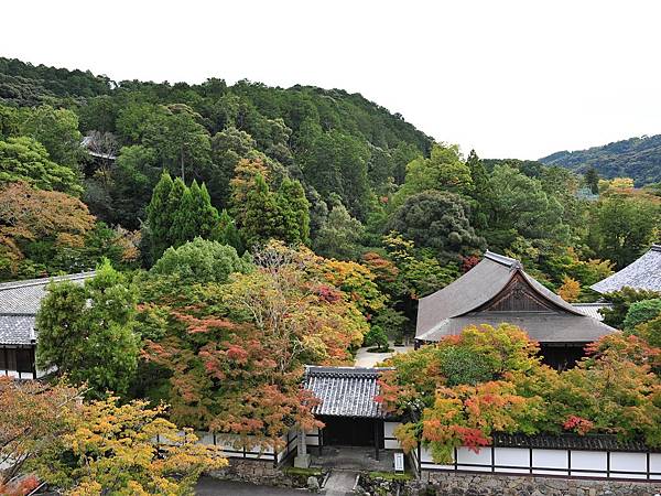 2022秋遊京都賞楓樂~京都賞楓名所:南禪寺