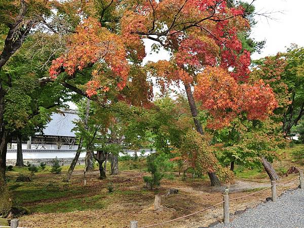 2022秋遊京都賞楓樂~京都賞楓名所:南禪寺