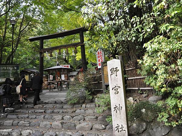 2022秋遊京都賞楓樂~九天八夜行程總覽