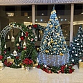 IMG_4252.jpg