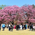 DSC_1404.JPG