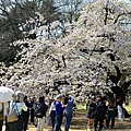 DSC_1438.JPG