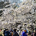 DSC_1439.JPG