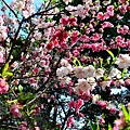 DSC_1506.JPG