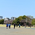 DSC_1629.JPG