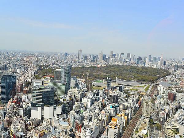 2024春東京賞櫻之旅DAY3~新宿御苑、SHIBUYA S