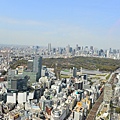 DSC_1693.JPG