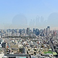 DSC_1723.JPG