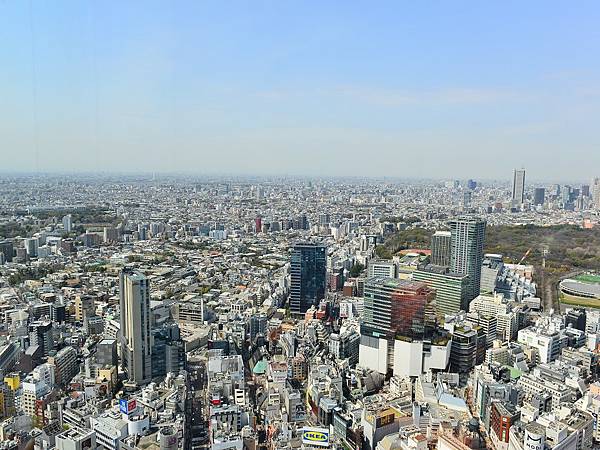 2024春東京賞櫻之旅DAY3~新宿御苑、SHIBUYA S