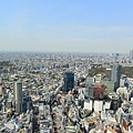 DSC_1705.JPG