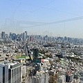 DSC_1738.JPG