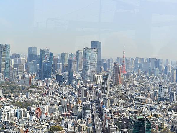 2024春東京賞櫻之旅DAY3~新宿御苑、SHIBUYA S
