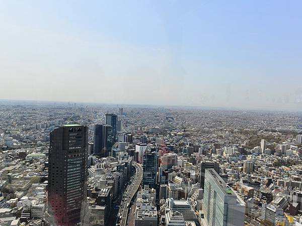 2024春東京賞櫻之旅DAY3~新宿御苑、SHIBUYA S