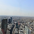 DSC_1773.JPG