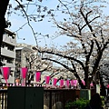 DSC_1830.JPG