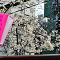 DSC_1845.JPG