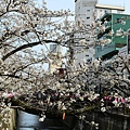 DSC_1832.JPG