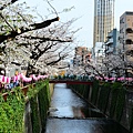 DSC_1871.JPG