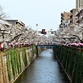 DSC_1883.JPG