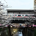 DSC_1920.JPG