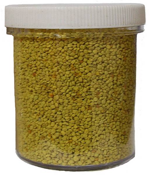 油菜花粉