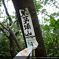大茅埔山 037.JPG