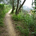 軍功山.中埔山.魚民日式料理 042.JPG