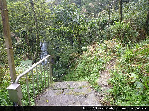 三貂大崙.三貂嶺山.金字碑古道 062.JPG