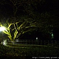 天母古道 051.JPG