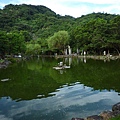 貴子坑親山步道.小坪頂山 203.JPG