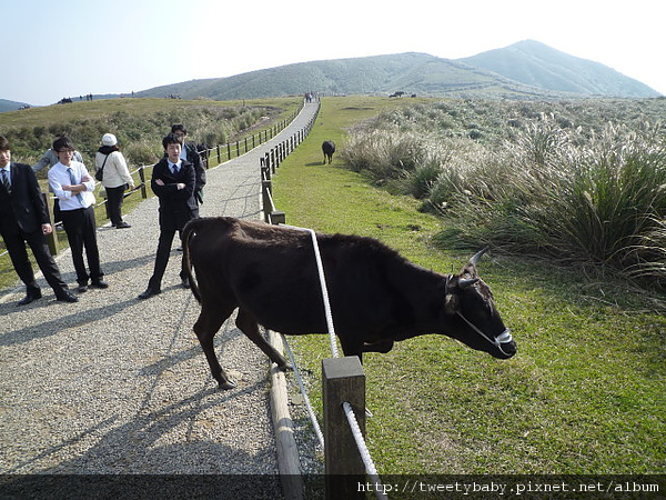 北五指山 133.JPG