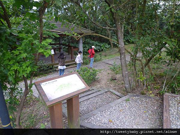 大坑山、倒照湖山失敗行.抱子腳山(140高地公園) 115.JPG