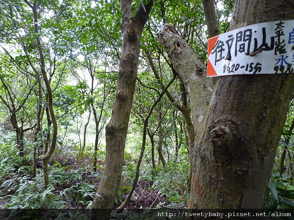 雞南山.文間山.劍南蝶園 110.JPG