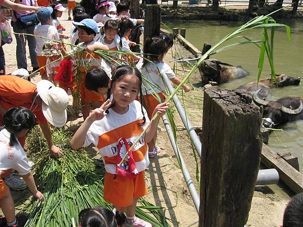 2005-05-23神牛村
