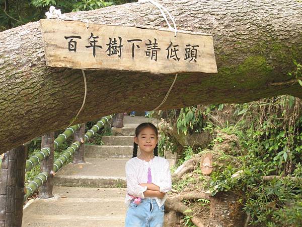 95.07.03大貝爸爸陽明山之旅