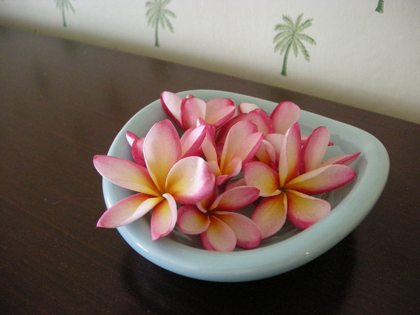 960808清香撲鼻的花.JPG 960808清香撲鼻的花.JPG