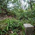 石碇姑娘廟.姑娘山 179.JPG