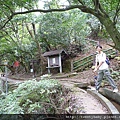 貴子坑親山步道.小坪頂山 099.JPG