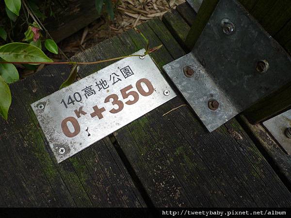 抱仔腳山.倒照湖山西峰.石壁坑山.溪頭山 006.JPG 抱仔腳山.倒照湖山西峰.石壁坑山.溪頭山 006.JPG