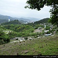 抱仔腳山.倒照湖山西峰.石壁坑山.溪頭山 047.JPG