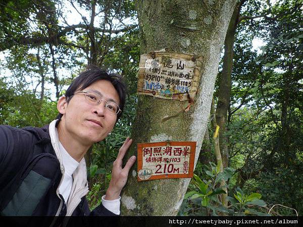 抱仔腳山.倒照湖山西峰.石壁坑山.溪頭山 051.JPG